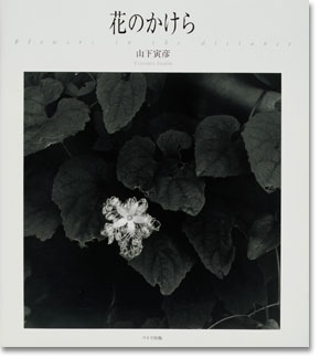 写真集「花のかけら」表紙