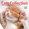 cats collection 2020