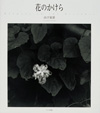 写真集「花のかけら」
